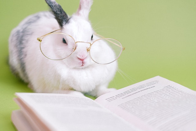 tudatos vásárló_cruelty free