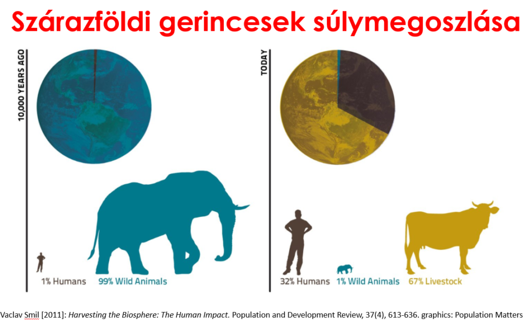 Szárazföldi gerincesek súlymegoszlása