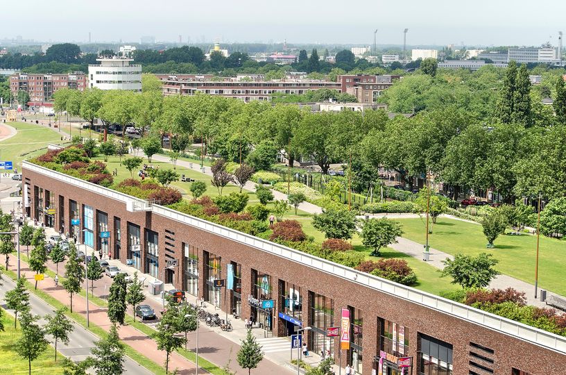 Az ELCA manapság inkább a Városi Zöldítés Európai Platformjának (European Platform for Urban Greening) létrehozásán dolgozik. Kép: facebook.com