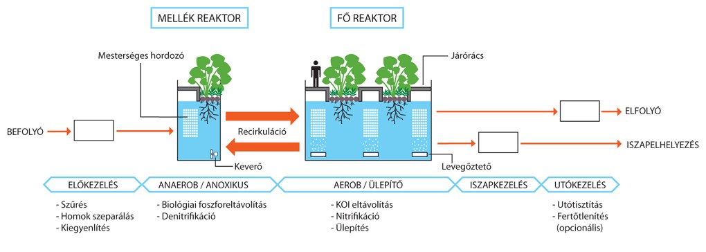 Kép: Az emberi beavatkozást alig igénylő „Élőgépek” rendszerével a növények és egyes állatfajok (pl. csigák, halak, planktonok, kagylók) is bevezetésre kerülnek a szennyvíztisztítási rendszerbe, így az az újrahasznosítási igényszintnek megfelelően testreszabható.