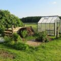 Kép: Egy egészen kicsi szabadon álló greenhouse vagy üvegház is jól jön, amikor elő kell nevelni a palántákat, vagy ha kell egy kellemes hőfokú hely a kevésbé fagytűrő növényeknek az átteleléshez.