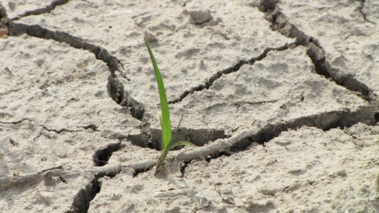 Kép: Az újabbnál újabb zöld technológiák és innovációk kulcsszerepet játszhatnak a klímaváltozásból eredő kihívások (pl. vízhiány) kezelésében és a klímacélok elérésében.