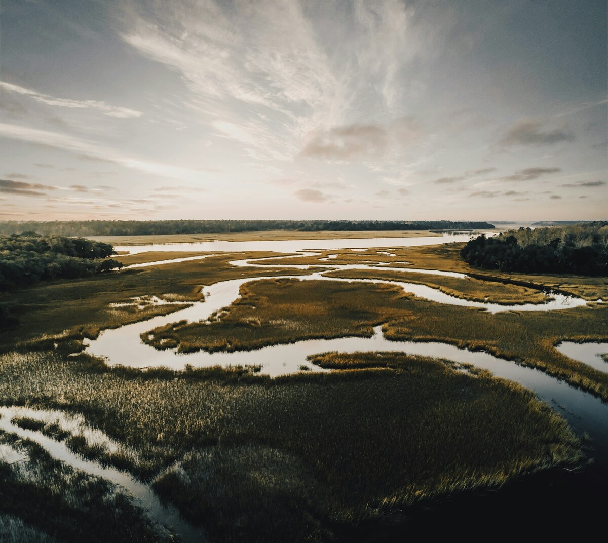 Az ország jelentős része eredetileg ártér volt. Kép: unsplash