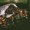 Permetezés keserűsóval: hogyan használjuk ezt az anyagot a kertben?