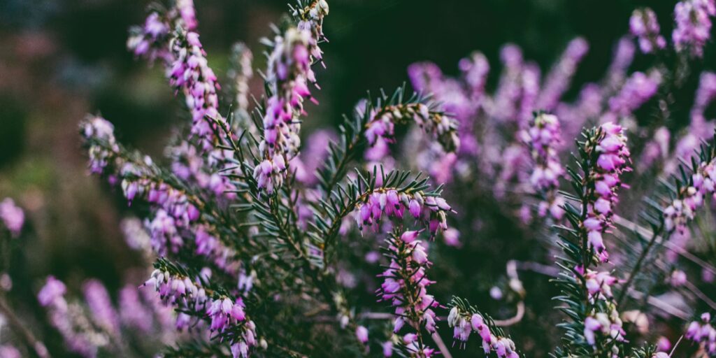 kép forrása: Unsplash.com