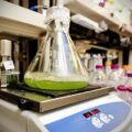 Biodízel: mit kell tudni róla, mennyire fenntartható?
